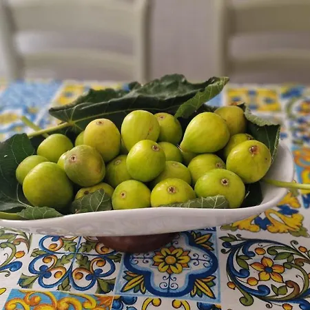 Appartamento Silvia